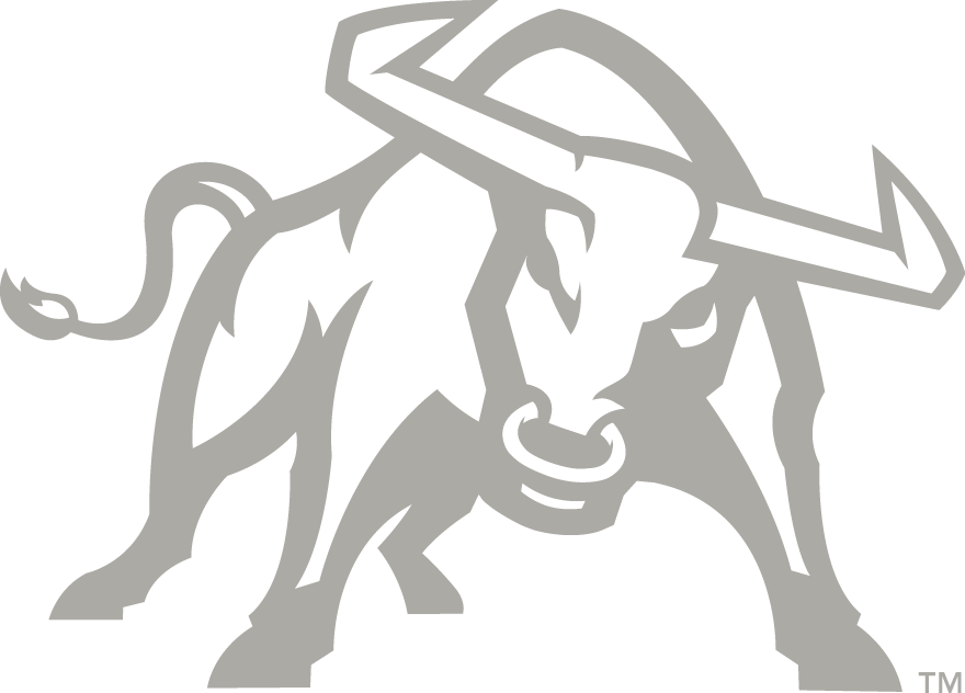 Utah State Aggies 2012-Pres Alternate Logo v4 DIY iron on transfer (heat transfer)